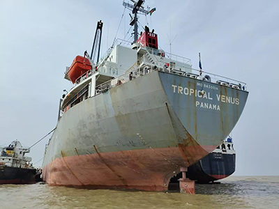 Mv Tropical Venus